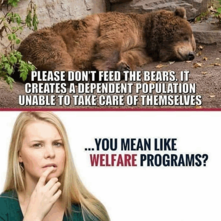 welfare programs