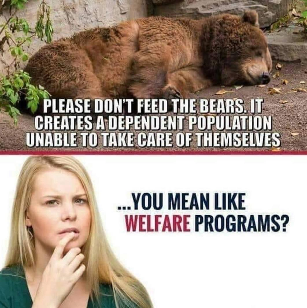 welfare programs