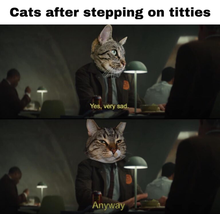 cats