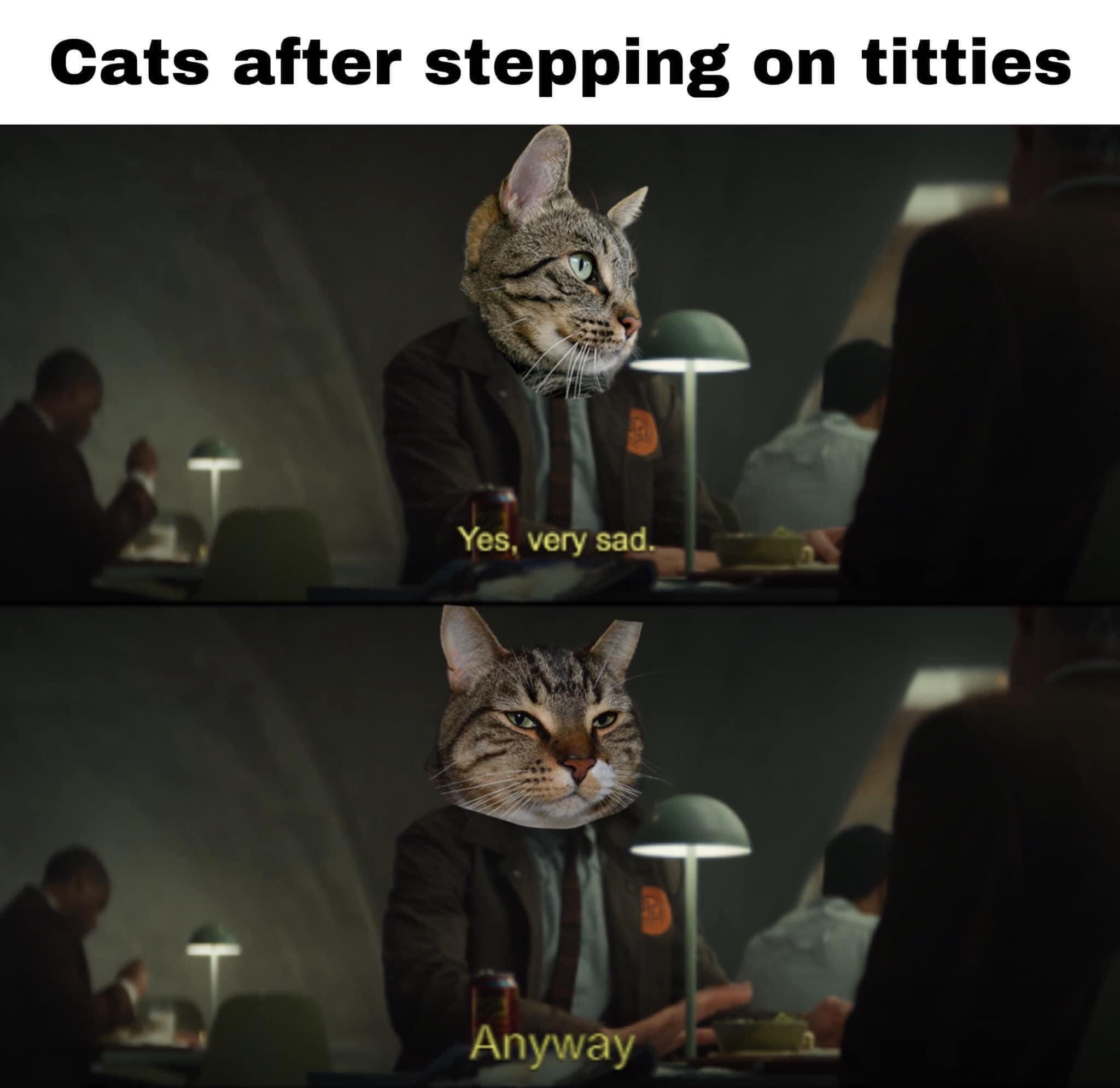 cats