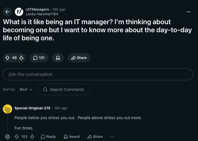 IT Manager
